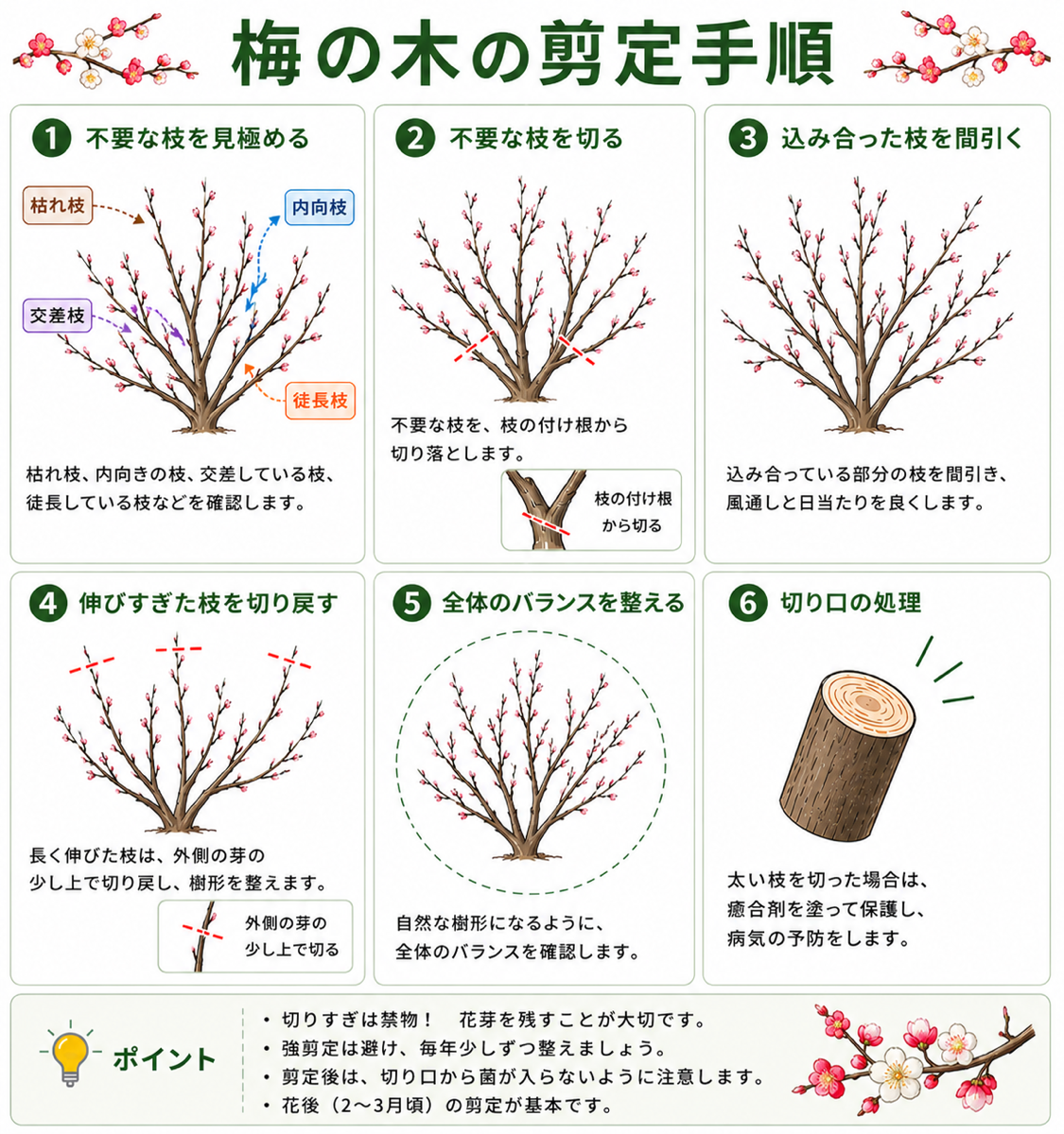 梅の木の剪定方法【図解】