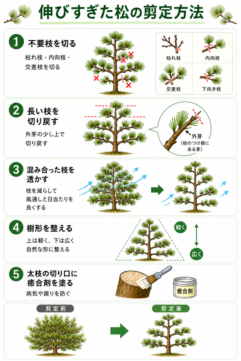 �L�т��������̙�����@