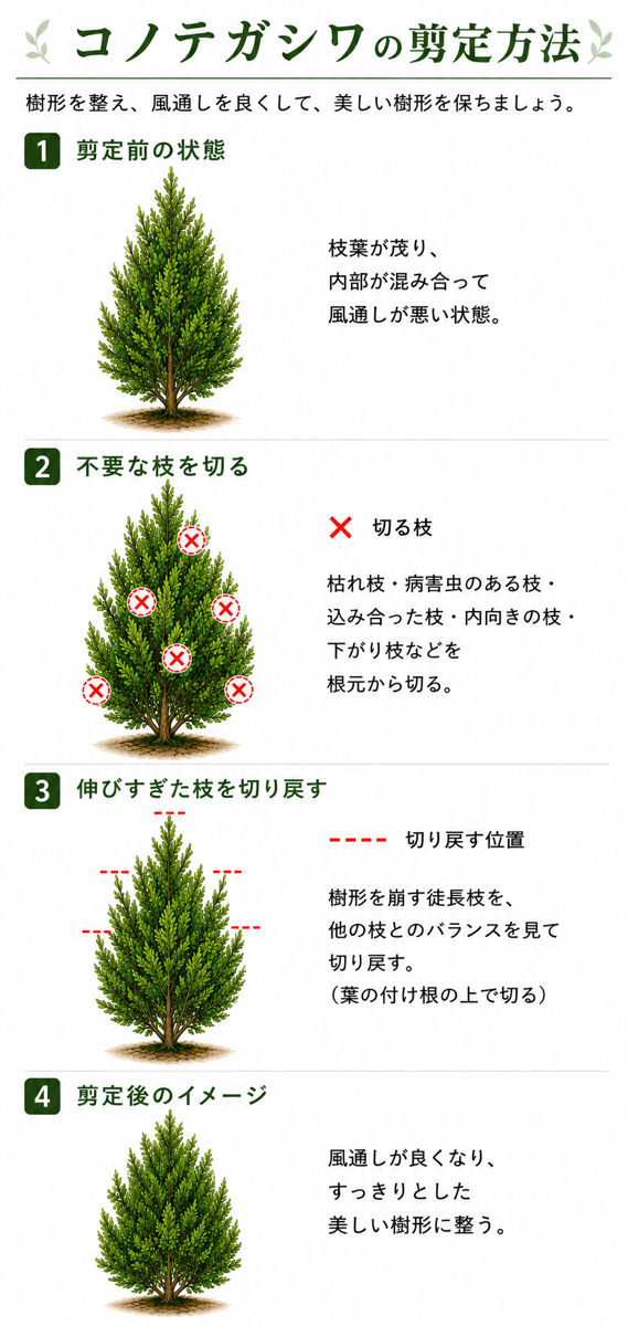 �y�}������z�R�m�e�K�V���i�G���K���e�B�V�}�j�̙�����@