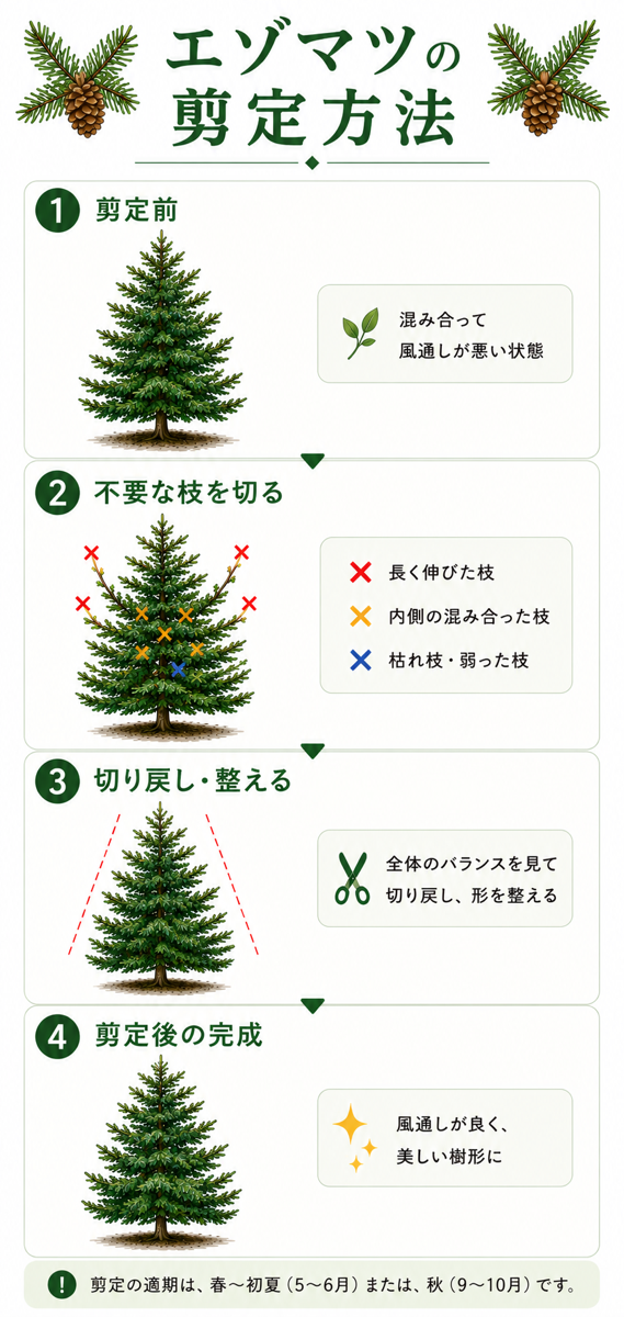 【図解あり】エゾマツの剪定方法 【図解あり】エゾマツの剪定方法
