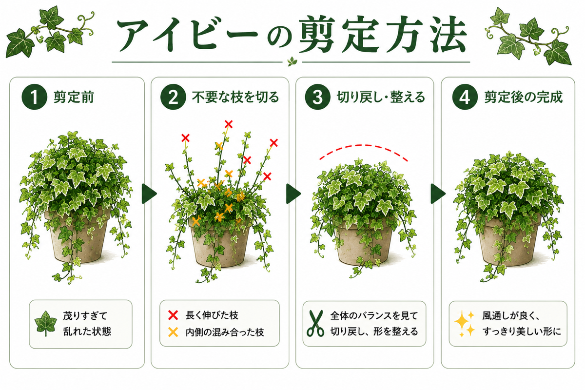 【図解あり】アイビーの剪定方法