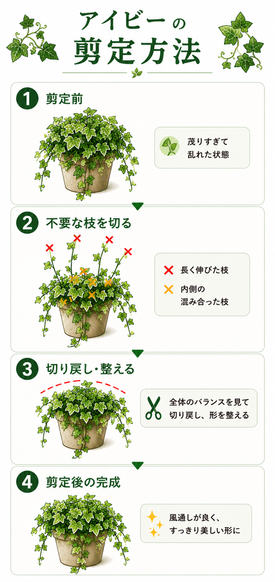 【図解あり】アイビーの剪定方法 【図解あり】アイビーの剪定方法