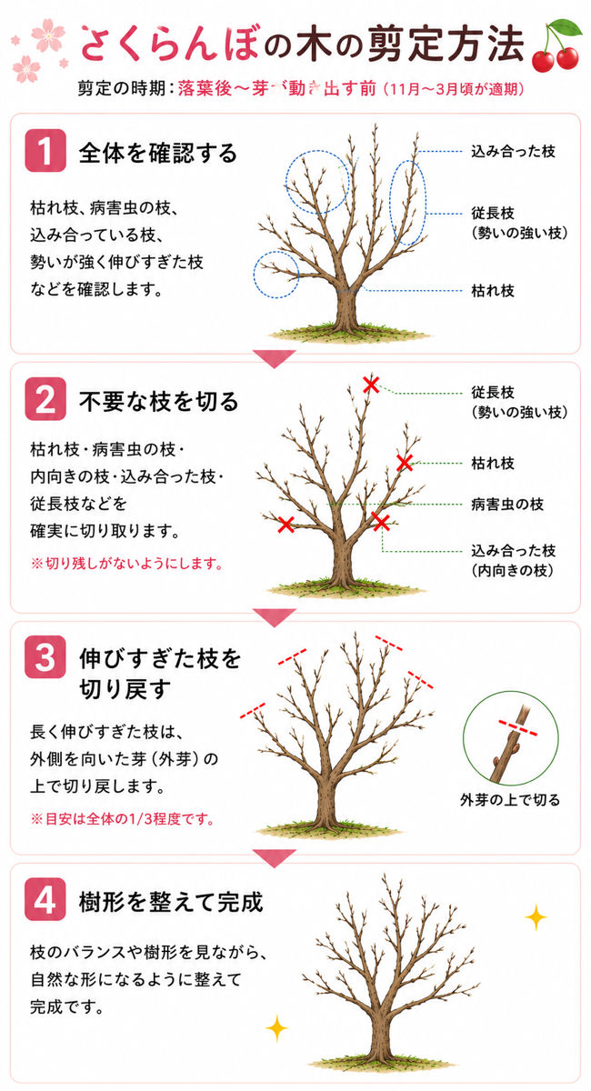 【図解あり】さくらんぼの剪定方法 【図解あり】さくらんぼの剪定方法