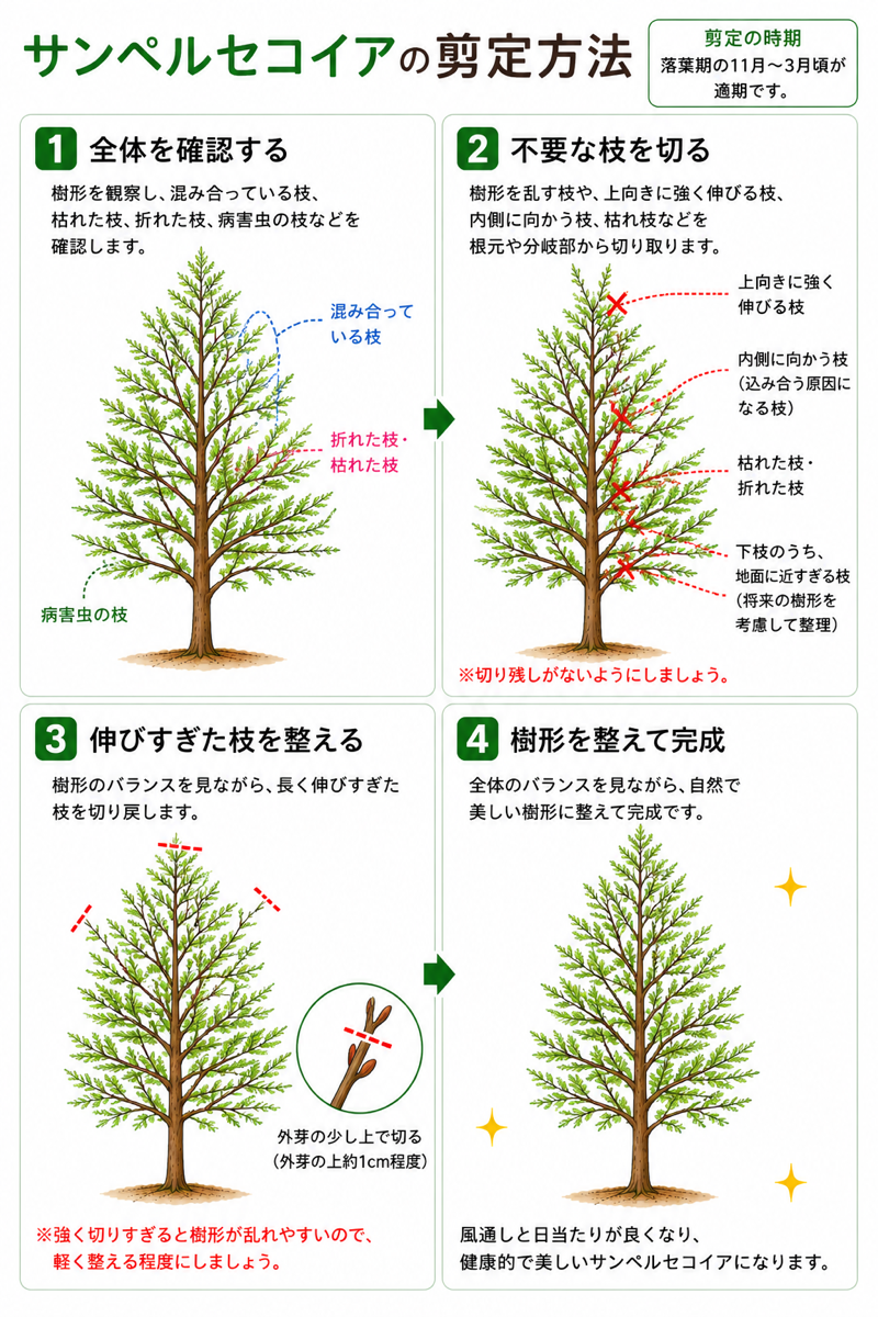 【図解あり】サンペルセコイアの剪定方法