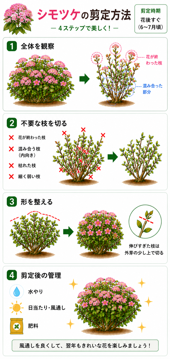 【図解あり】シモツケの剪定方法 【図解あり】シモツケの剪定方法
