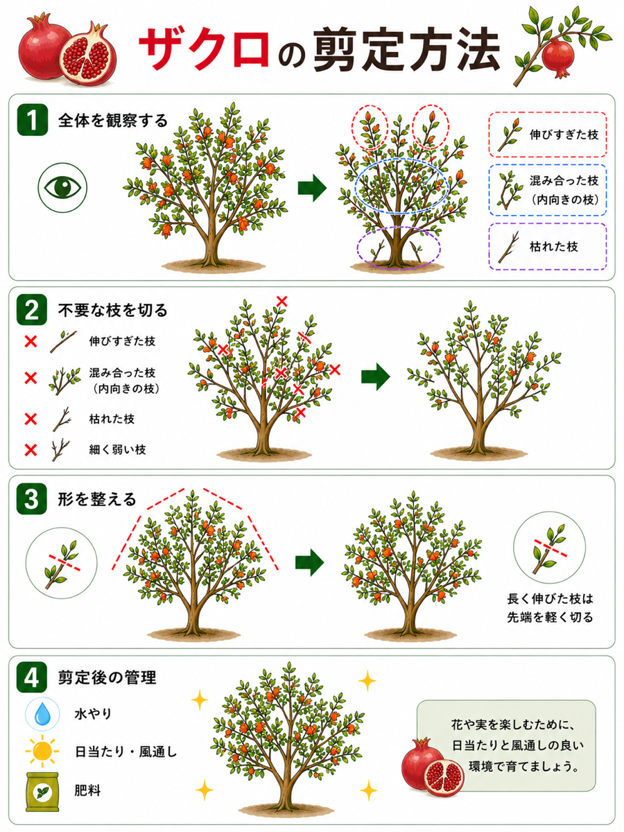 【図解あり】ザクロの剪定方法