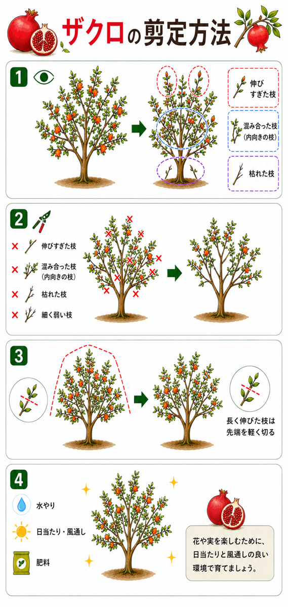 【図解あり】ザクロの剪定方法 【図解あり】ザクロの剪定方法