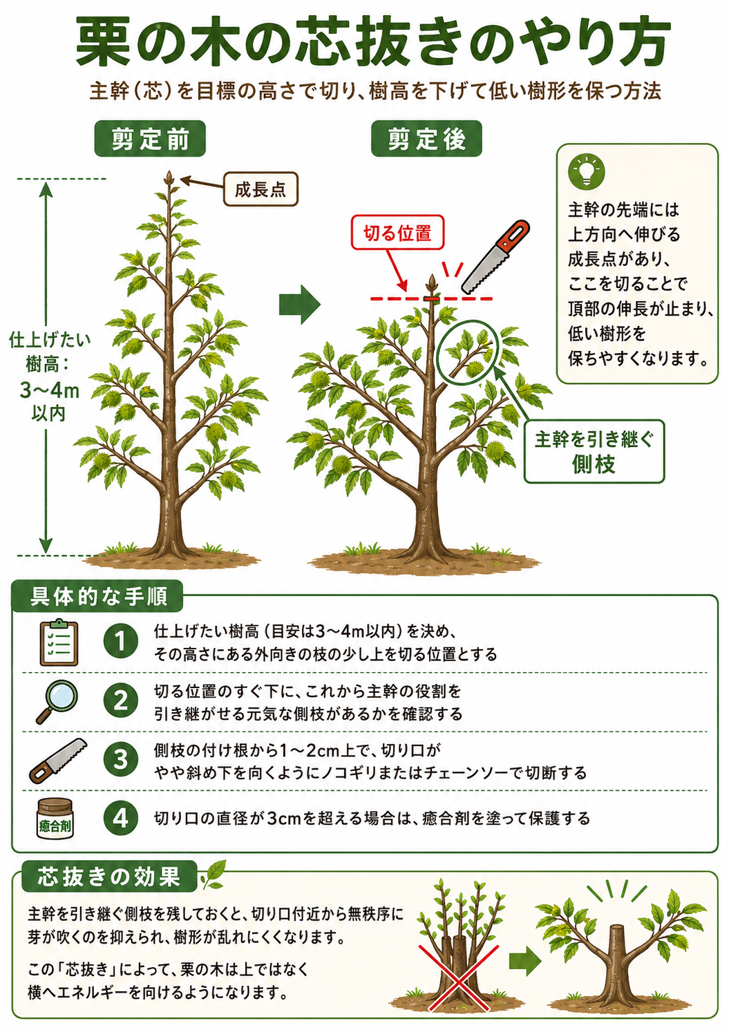 栗の木の芯抜きのやり方