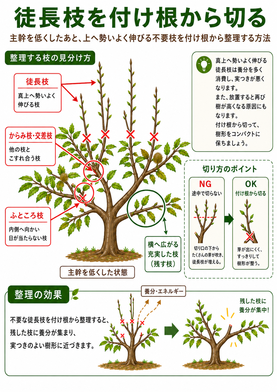 栗の木の芯抜きのやり方