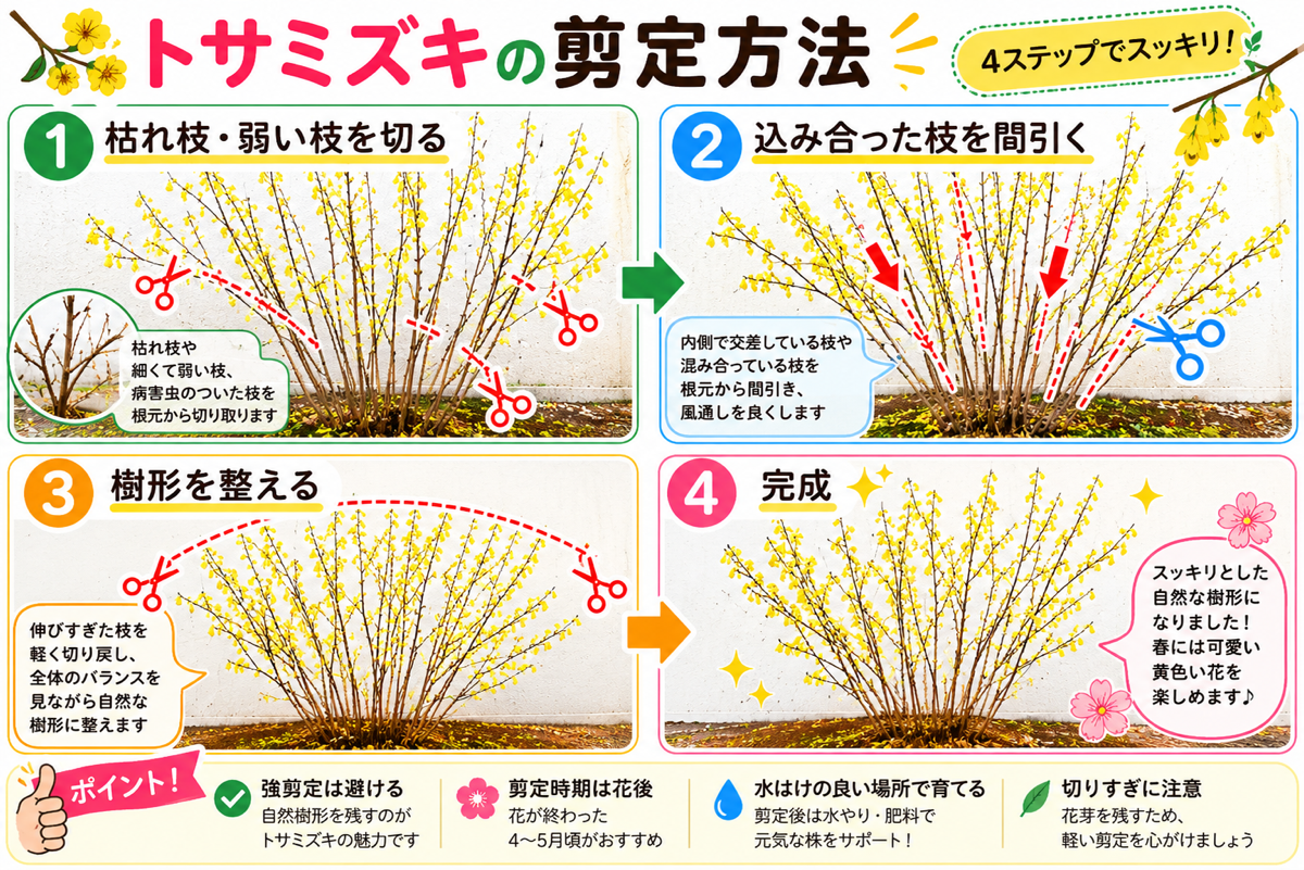 【図解あり】トサミズキの剪定方法