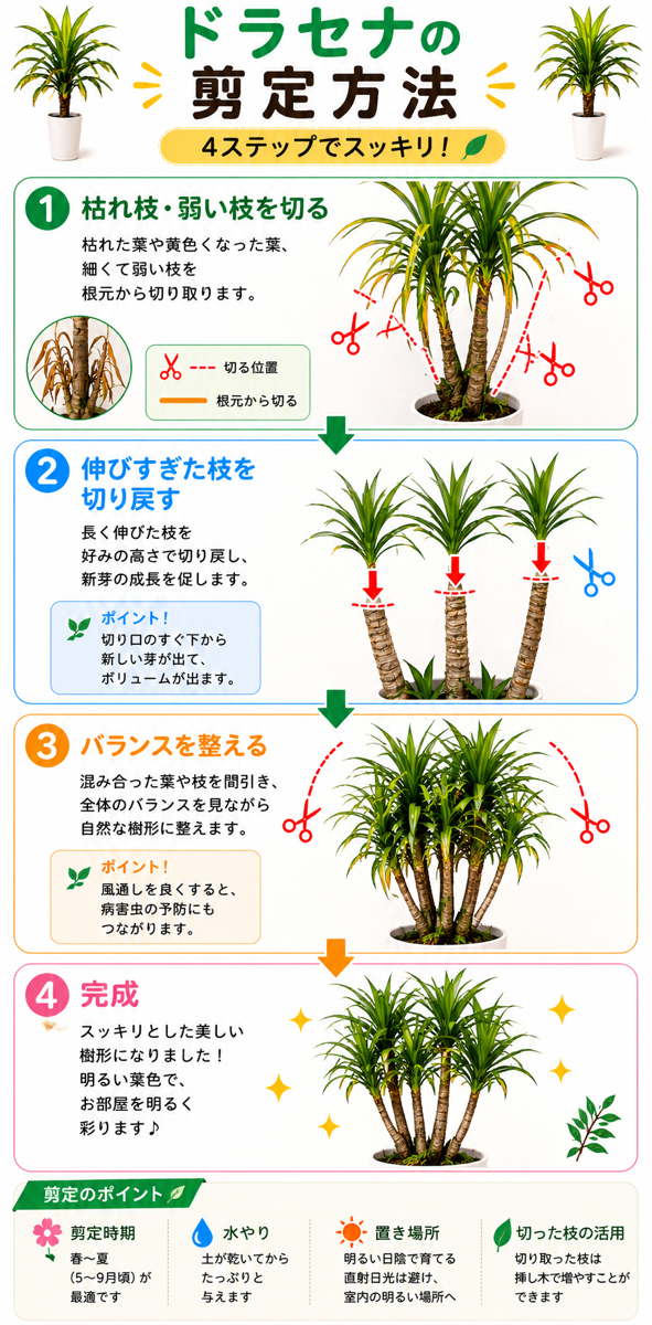 【図解あり】ドラセナの剪定方法 【図解あり】ドラセナの剪定方法