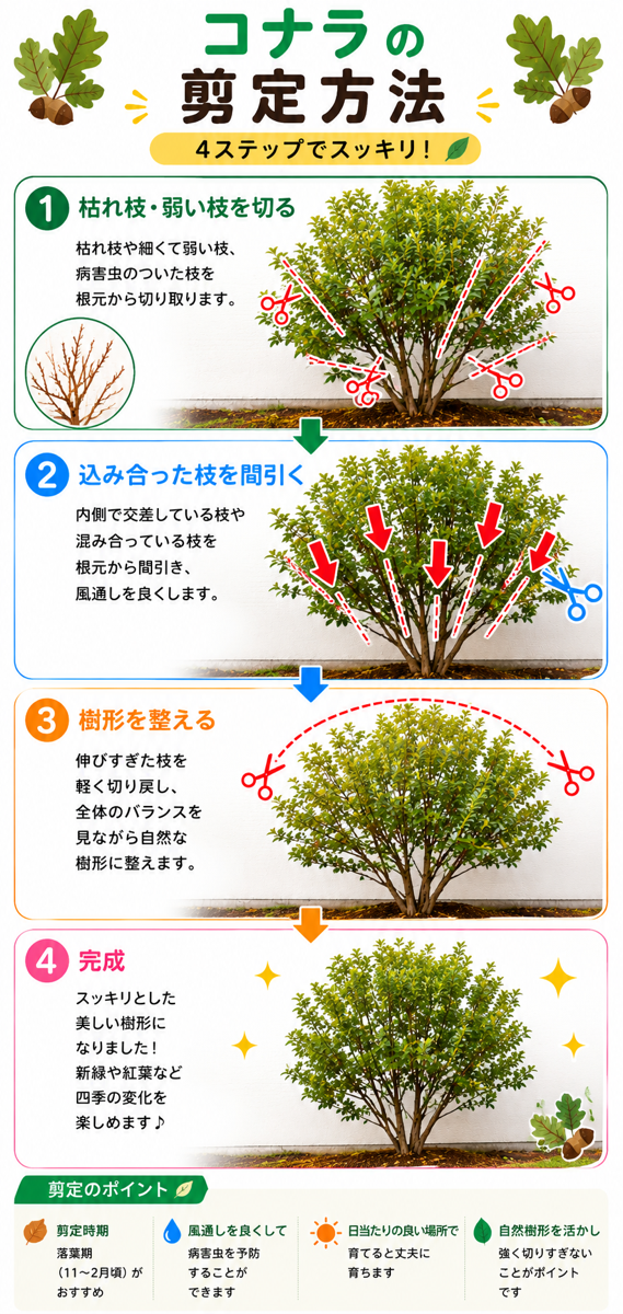 【図解あり】コナラの剪定方法 【図解あり】コナラの剪定方法