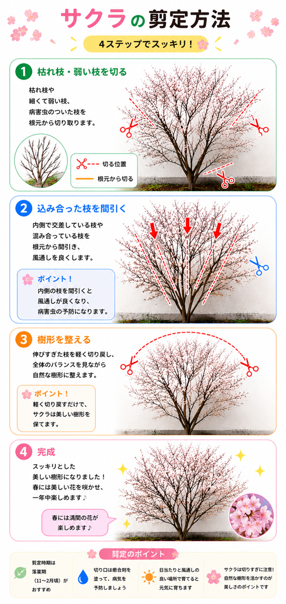 【図解あり】サクラ(桜)の剪定方法 【図解あり】サクラ(桜)の剪定方法