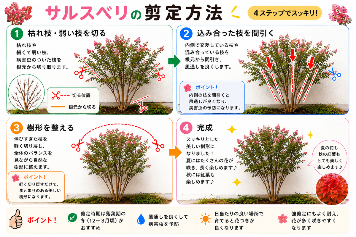 【図解あり】サルスベリ(百日紅)の剪定方法