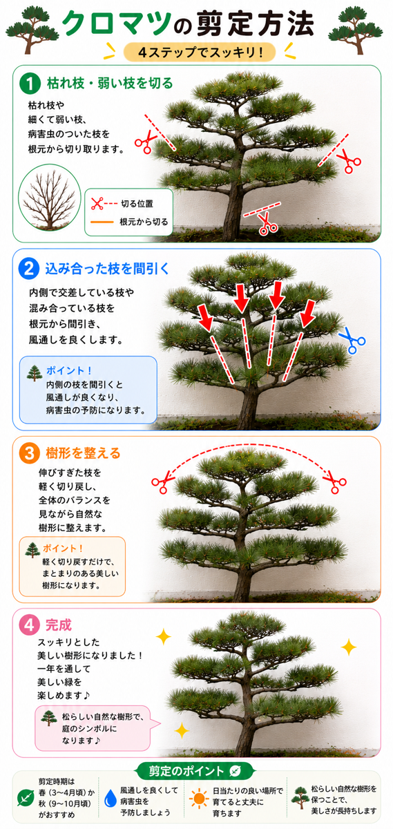 【図解あり】クロマツの剪定方法 【図解あり】クロマツの剪定方法