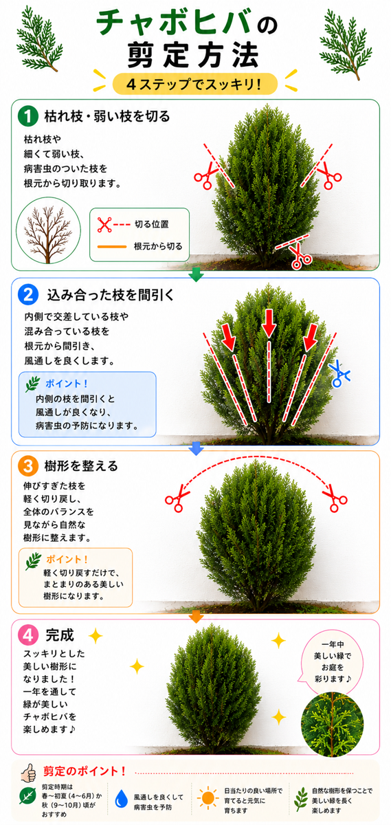 【図解あり】チャボヒバの剪定方法 【図解あり】チャボヒバの剪定方法