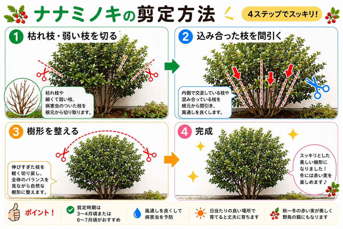 【図解あり】ナナミノキの剪定方法
