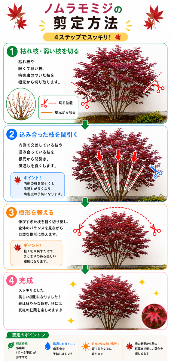 【図解あり】ノムラモミジの剪定方法 【図解あり】ノムラモミジの剪定方法