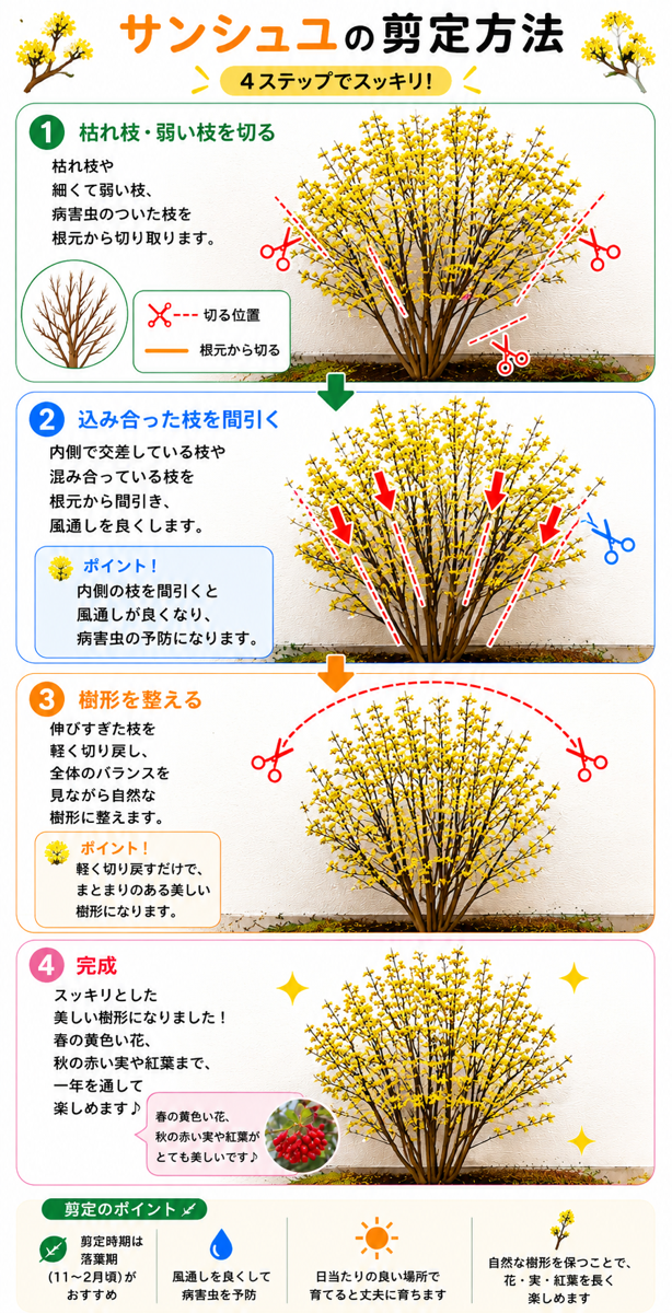 【図解あり】サンシュユの剪定方法 【図解あり】サンシュユの剪定方法