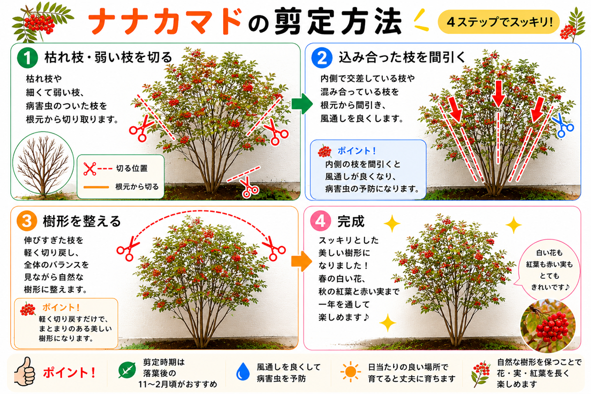 【図解あり】ナナカマドの剪定方法
