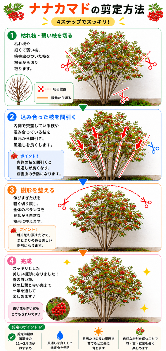 【図解あり】ナナカマドの剪定方法 【図解あり】ナナカマドの剪定方法