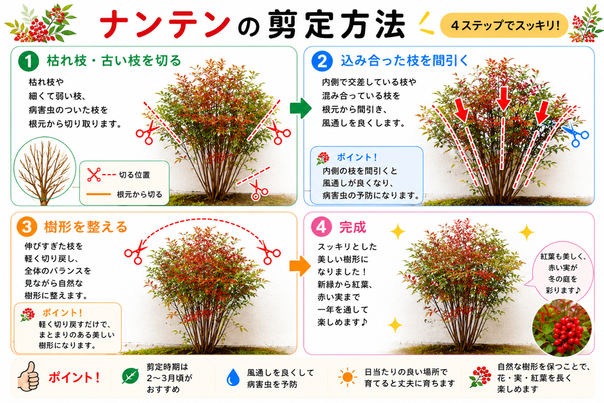 【図解あり】ナンテン(南天)の剪定方法