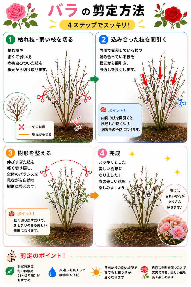 【図解あり】バラの剪定方法