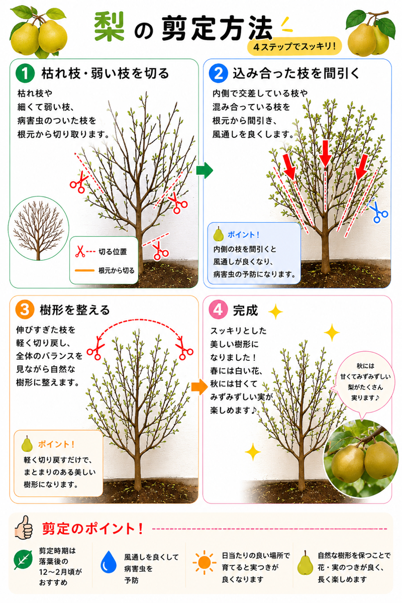 【図解あり】梨の剪定方法