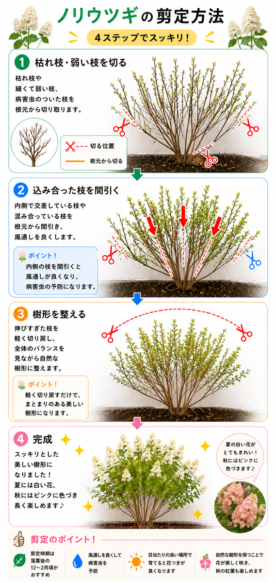 【図解あり】ノリウツギの剪定方法 【図解あり】ノリウツギの剪定方法