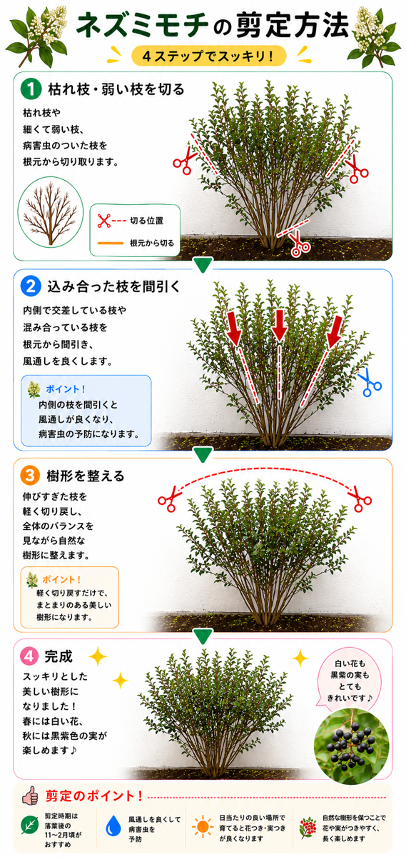 【図解あり】ネズミモチの剪定方法 【図解あり】ネズミモチの剪定方法