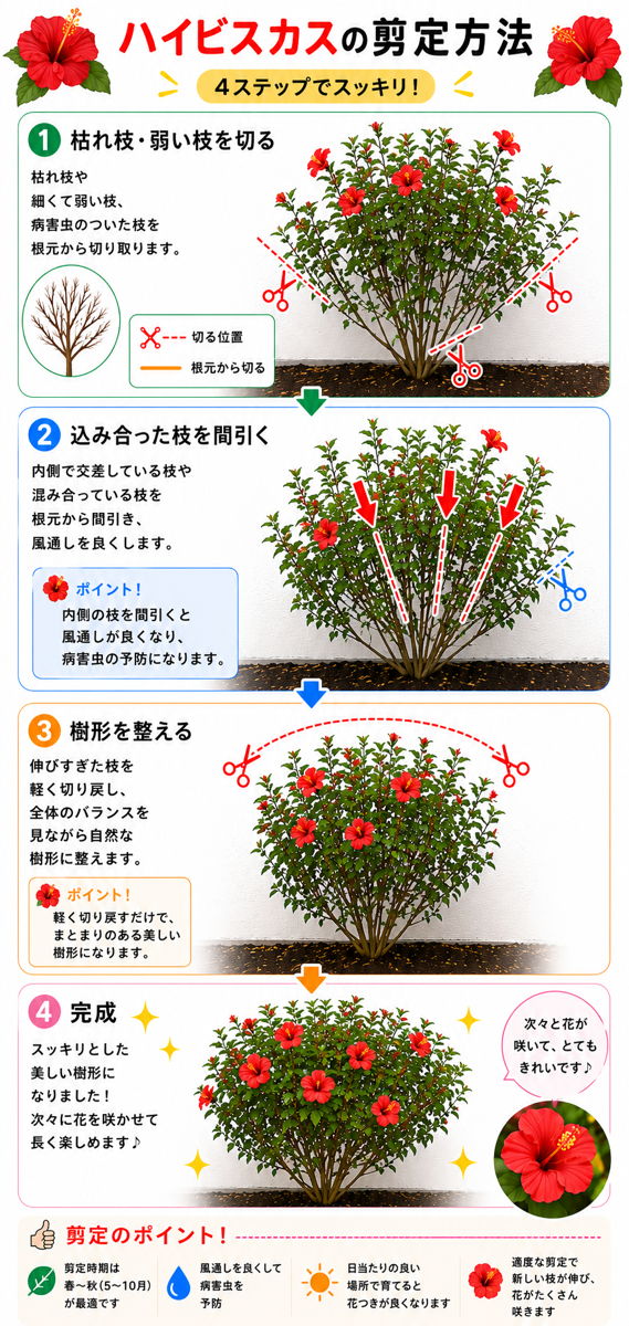 【図解あり】ハイビスカスの剪定方法 【図解あり】ハイビスカスの剪定方法