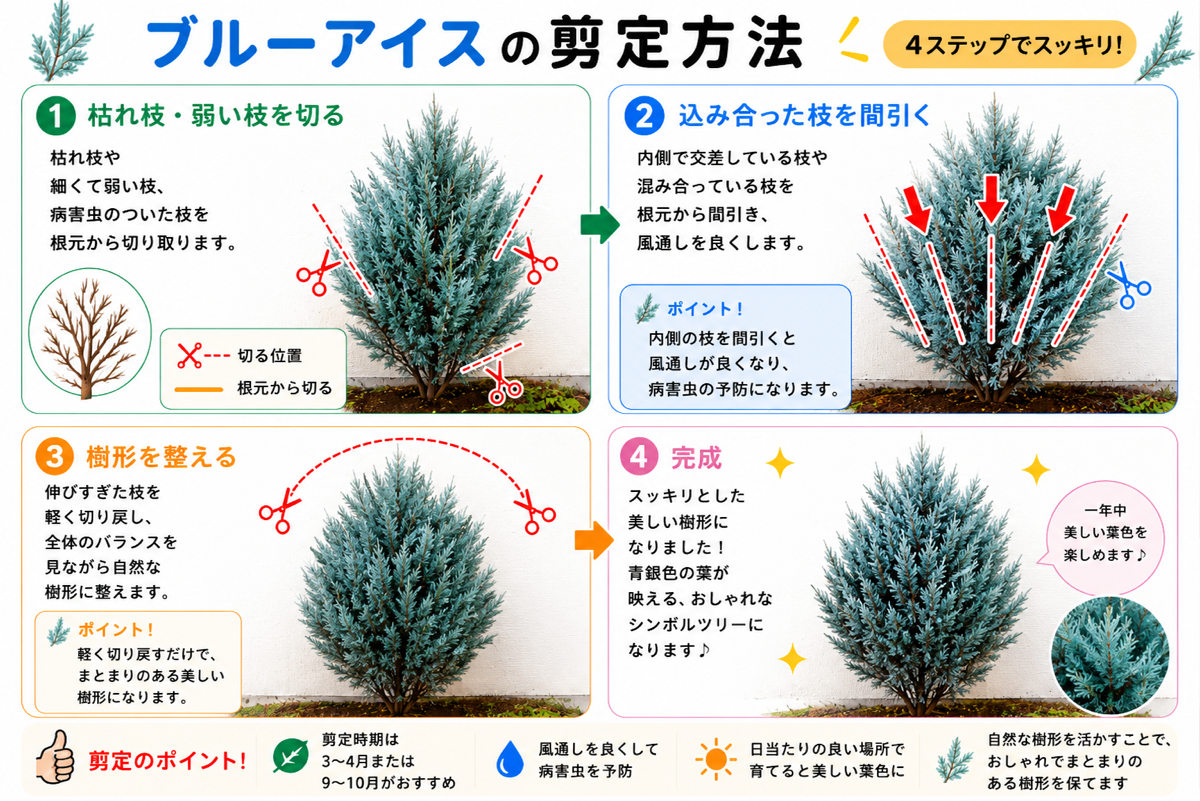 【図解あり】ブルーアイスの剪定方法