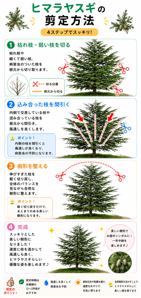 【図解あり】ヒマラヤスギの剪定方法 【図解あり】ヒマラヤスギの剪定方法