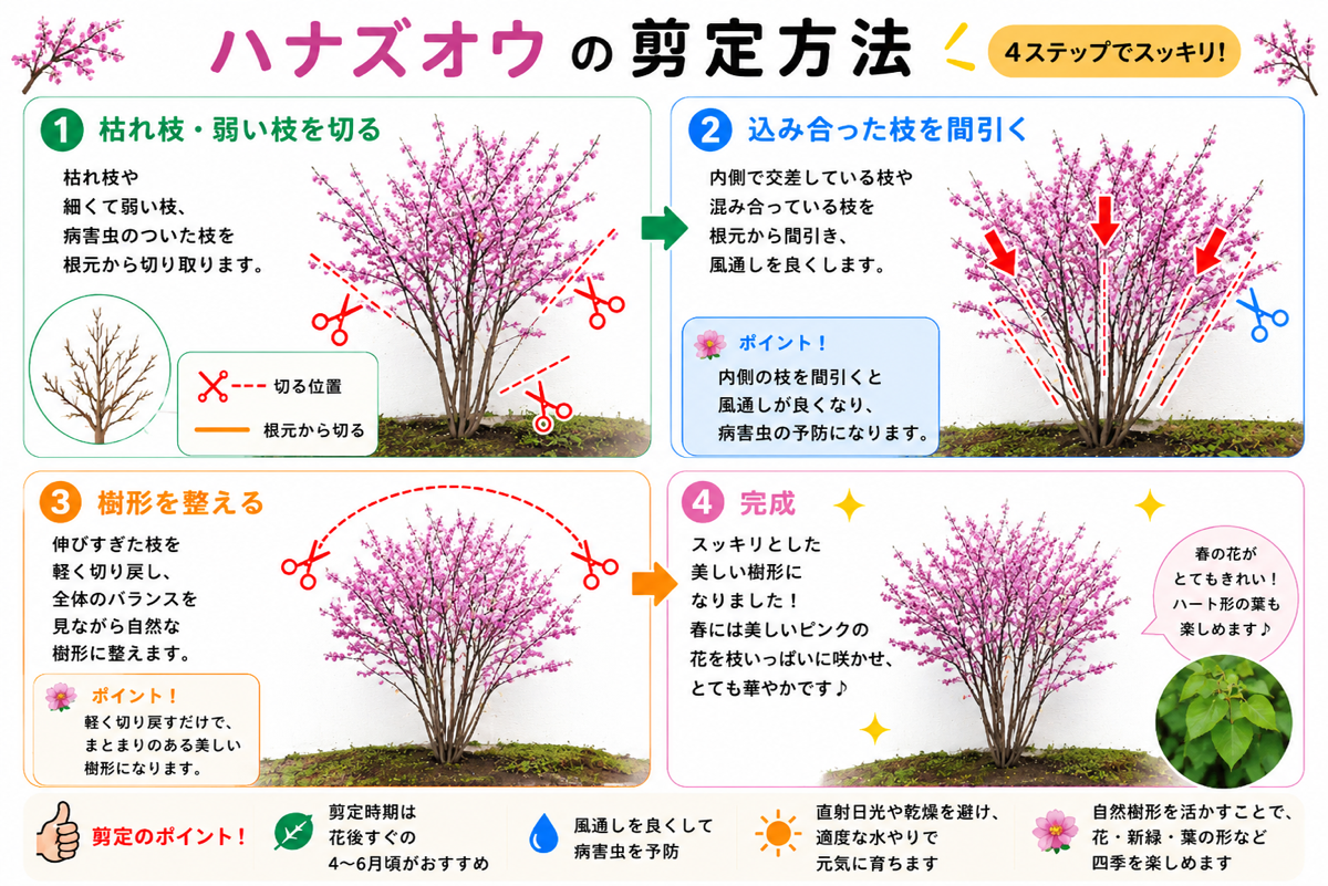 【図解あり】ハナズオウの剪定方法