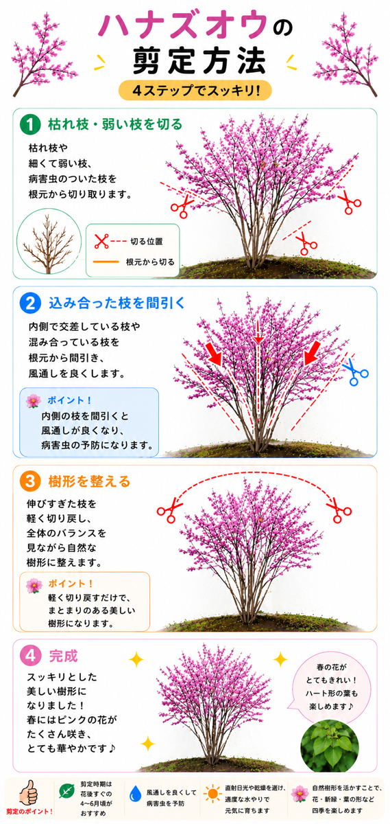 【図解あり】ハナズオウの剪定方法 【図解あり】ハナズオウの剪定方法