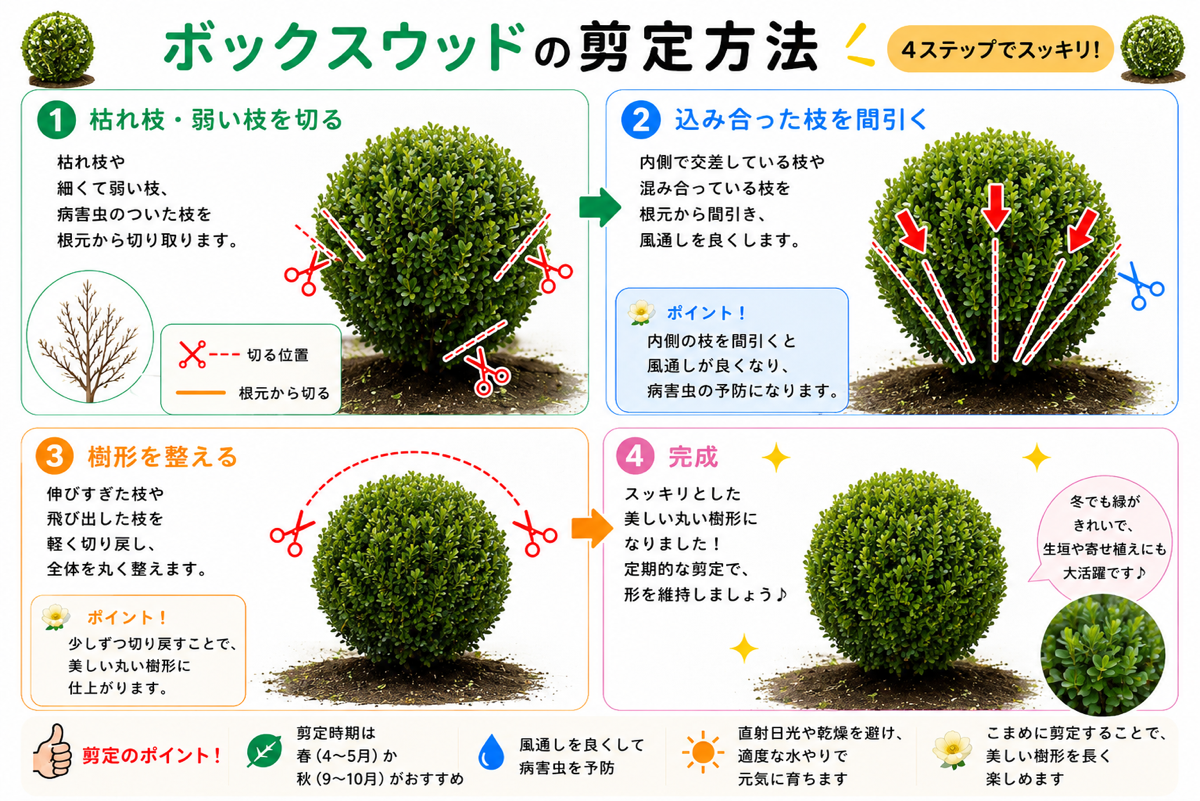 【図解あり】ボックスウッドの剪定方法