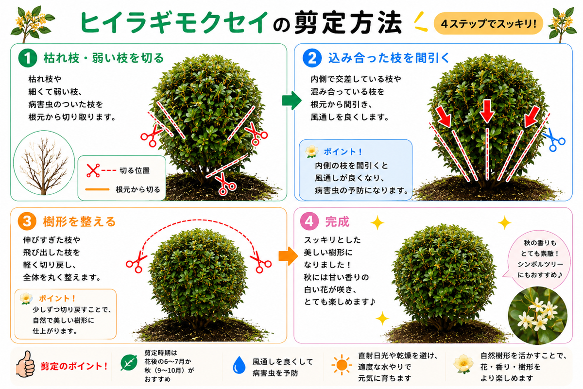 【図解あり】ヒイラギモクセイの剪定方法