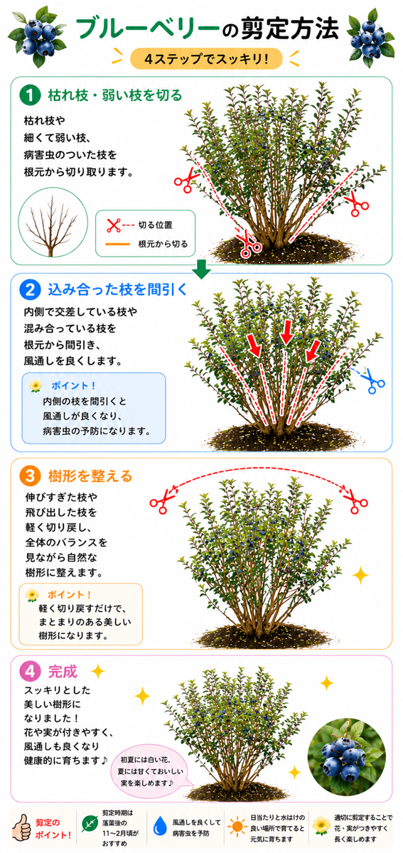 �y�}������z�u���[�x���[�̙�����@