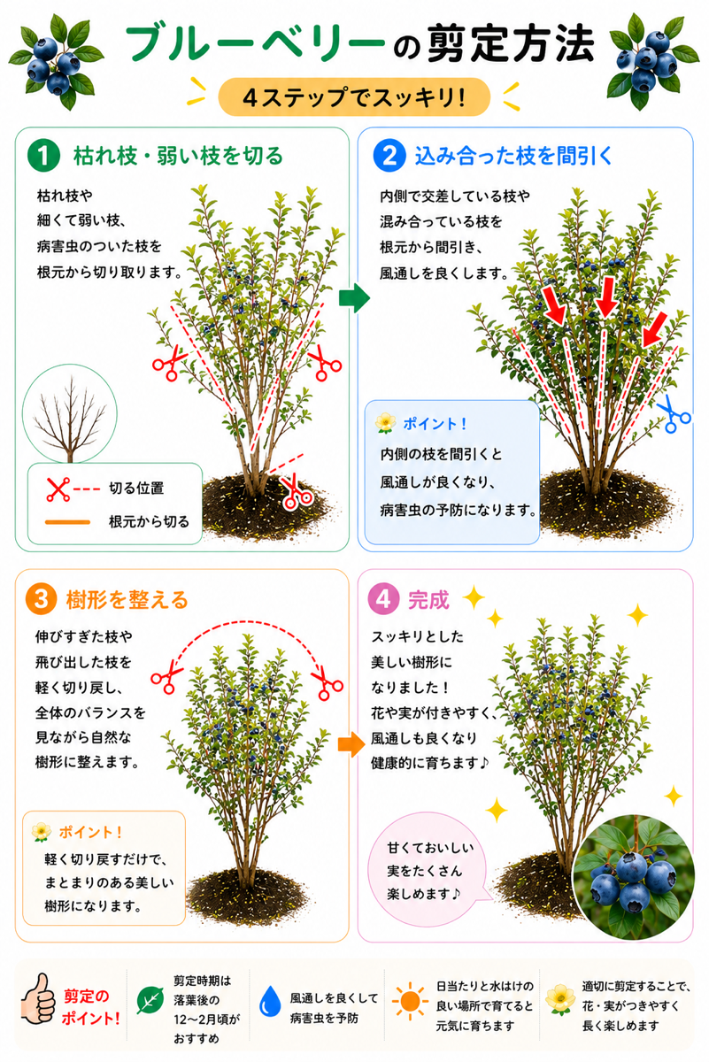 【図解あり】ブルーベリーの剪定方法