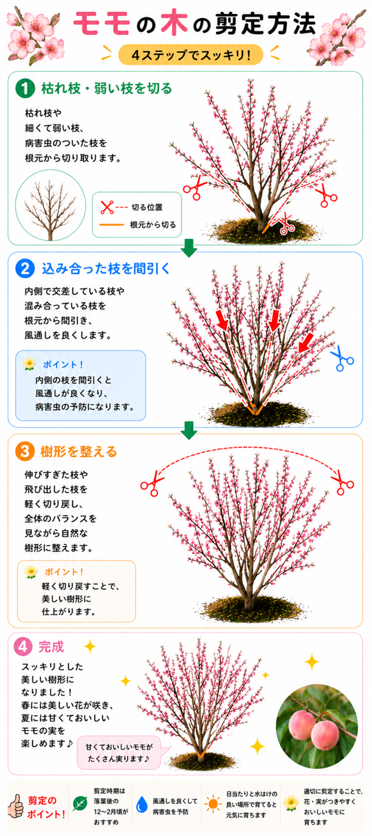 【図解あり】モモの剪定方法 【図解あり】モモの剪定方法