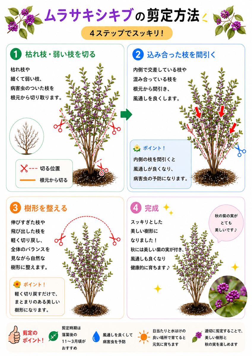 【図解あり】ムラサキシキブの剪定方法