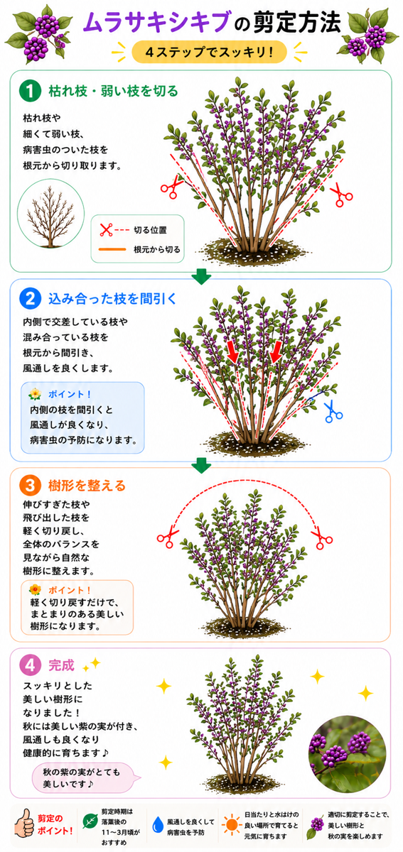 【図解あり】ムラサキシキブの剪定方法 【図解あり】ムラサキシキブの剪定方法