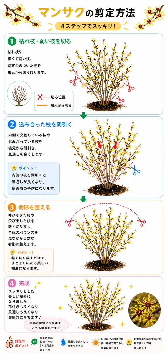 【図解あり】マンサクの剪定方法 【図解あり】マンサクの剪定方法