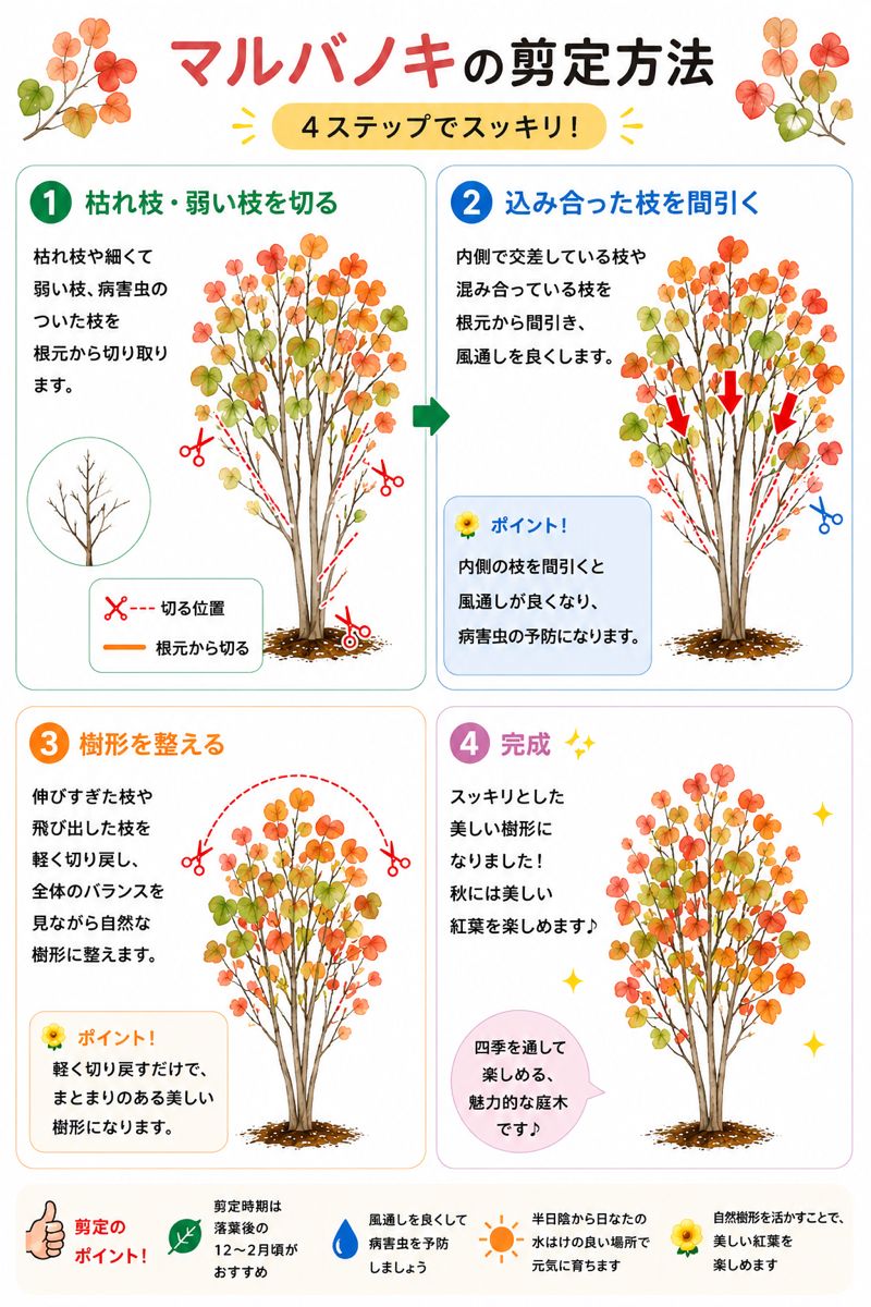 【図解あり】マルバノキの剪定方法 【図解あり】マルバノキの剪定方法