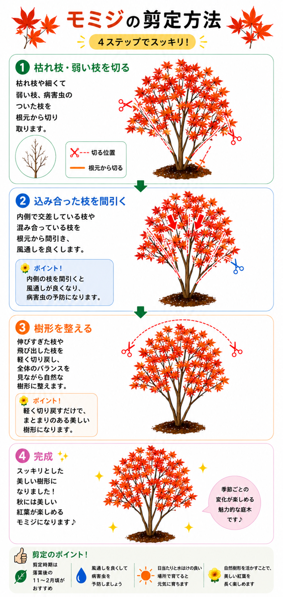 【図解あり】モミジ(モミジ・カエデ系全般)の剪定方法 【図解あり】モミジ(モミジ・カエデ系全般)の剪定方法