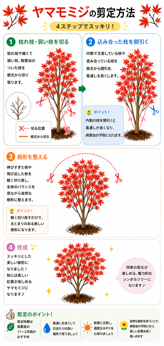 【図解あり】ヤマモミジの剪定方法 【図解あり】ヤマモミジの剪定方法