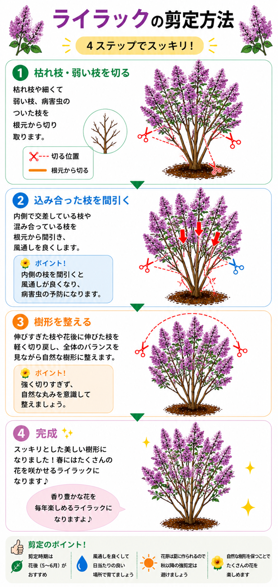 【図解あり】ライラックの剪定方法 【図解あり】ライラックの剪定方法