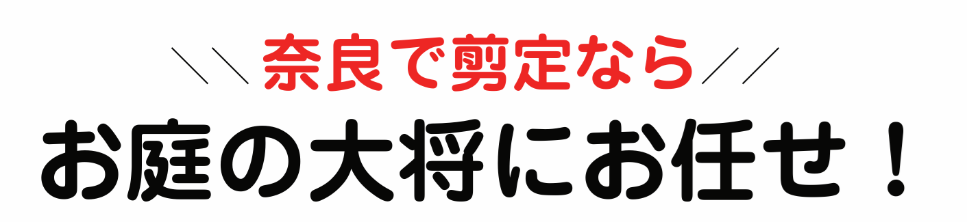 ޗǂŒؙ͂̑叫ɂCI
