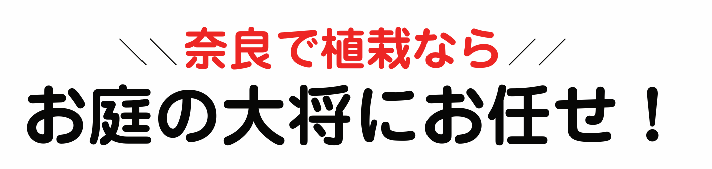ޗǂŐA͂͂̑叫ɂCI