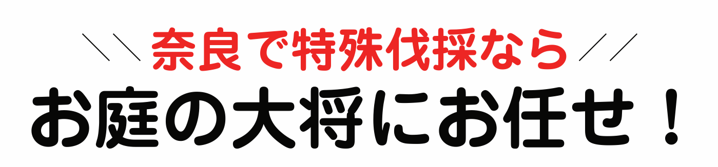 ޗǂœꔰ̂͂̑叫ɂCI